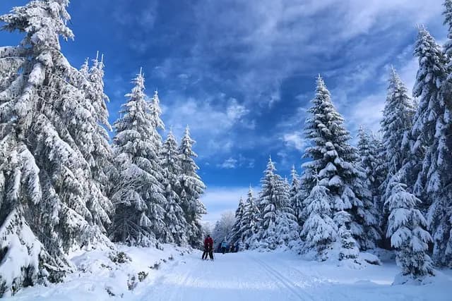 Les aventures aériennes les plus spectaculaires à vivre