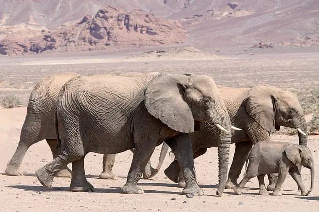 Comment préparer une aventure aérienne inoubliable