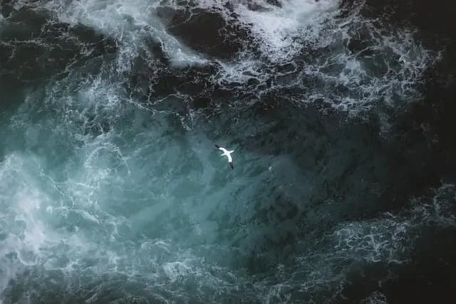 Les secrets pour réussir votre premier vol en parapente