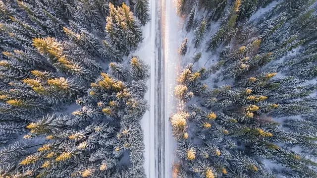 Comment bien choisir votre première aventure aérienne
