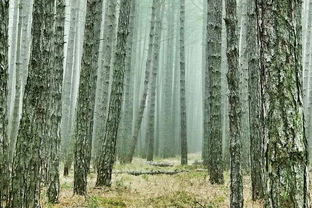 Les aventures aériennes inoubliables à vivre absolument