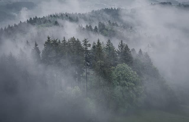 Les meilleures astuces pour photographier vos aventures aériennes
